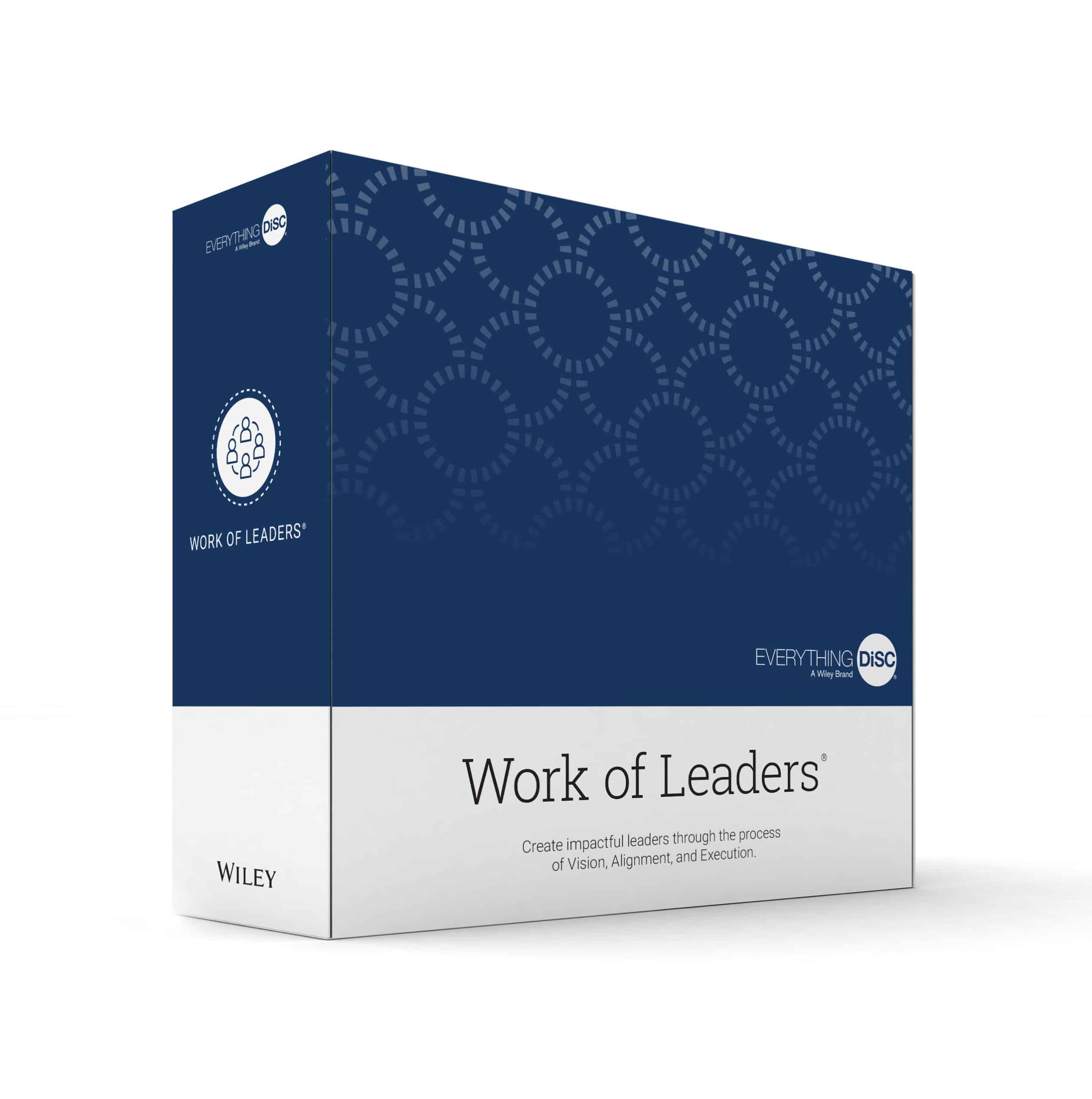 Dion Leadership-Workplace Profile-Everything DiSC