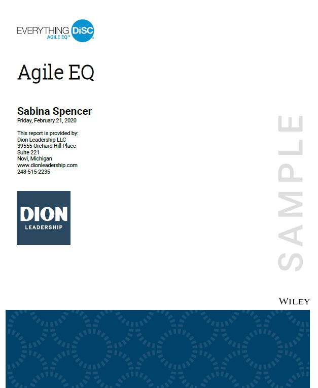 Dion Leadership-Management Profile-Everything DiSC