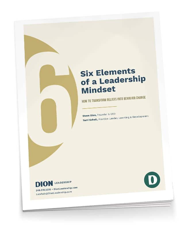 Dion Leadership-Group Coaching eBook Cover-Image
