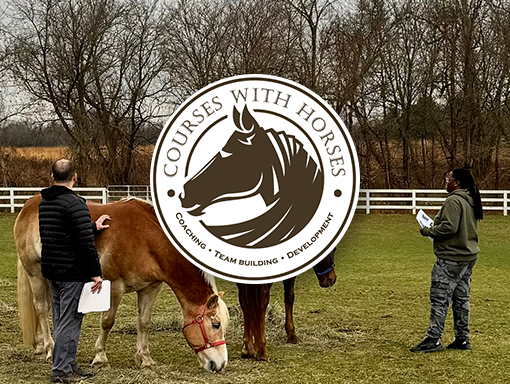 Courses with Horses-Leadership Development
