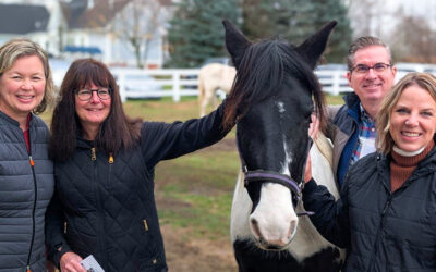 Horses as Leadership Coaches?